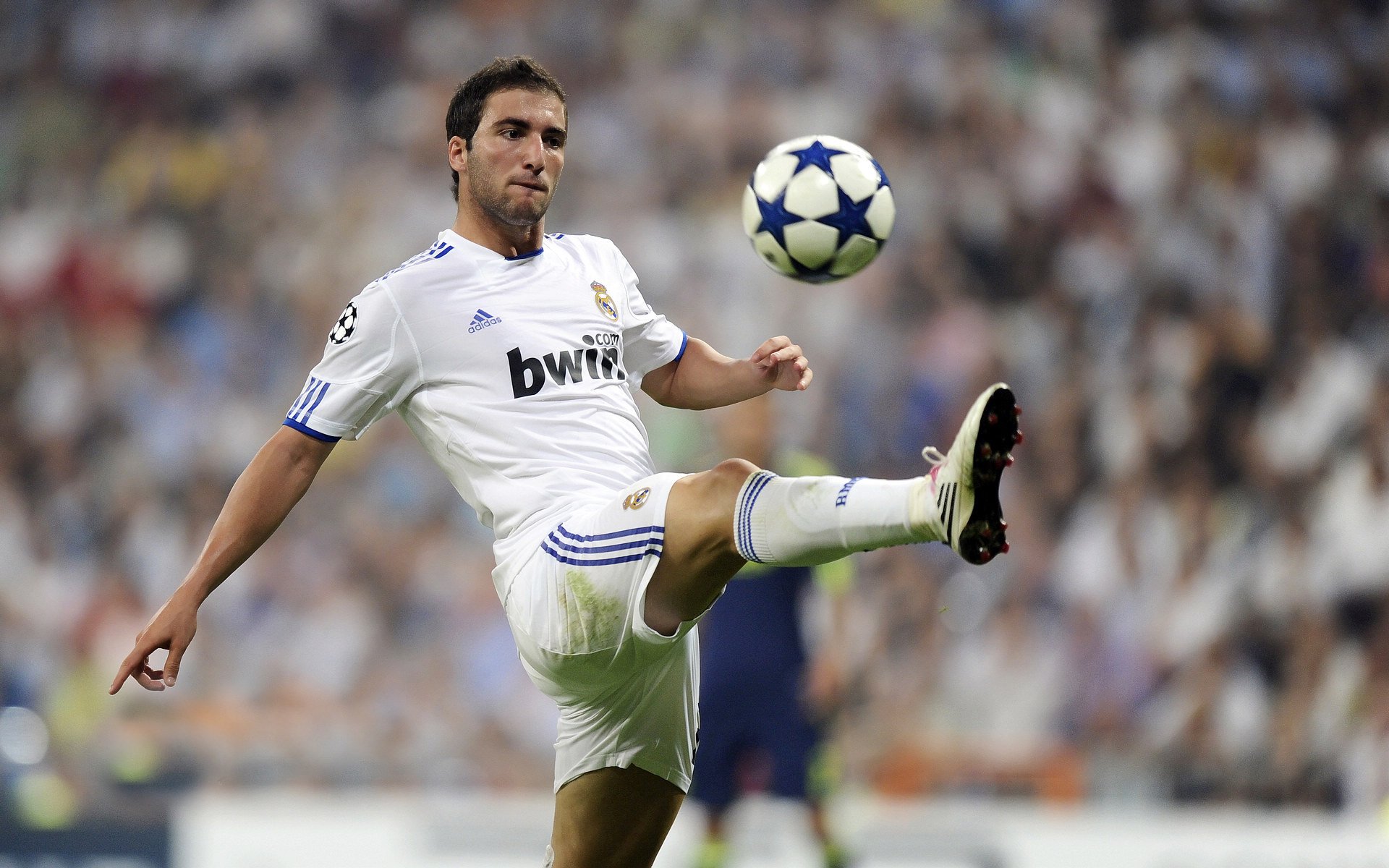 “美洲狮队顶级表现,重新定义阿根廷橄榄球”