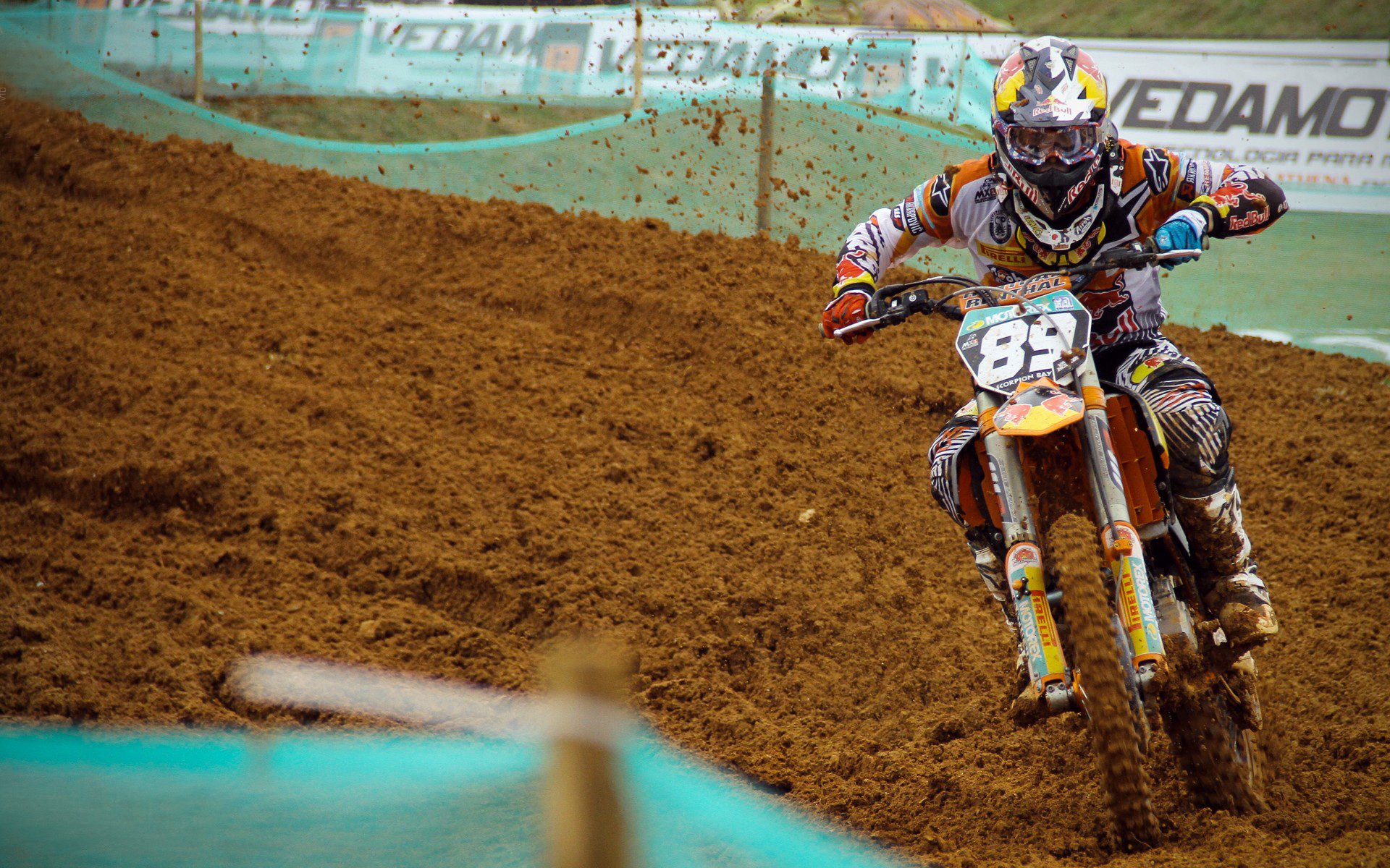 新人崭露头角，未来之星的强势崛起！，未来之星怎么解释